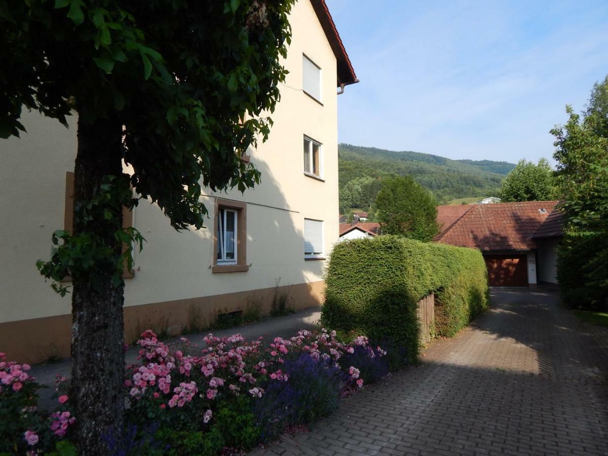 Wehr Orchidee Apartment Extérieur photo